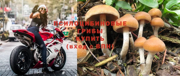 герыч Вяземский