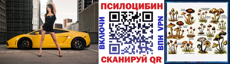 Псилоцибиновые грибы Psilocybine cubensis  где купить   Лысьва 